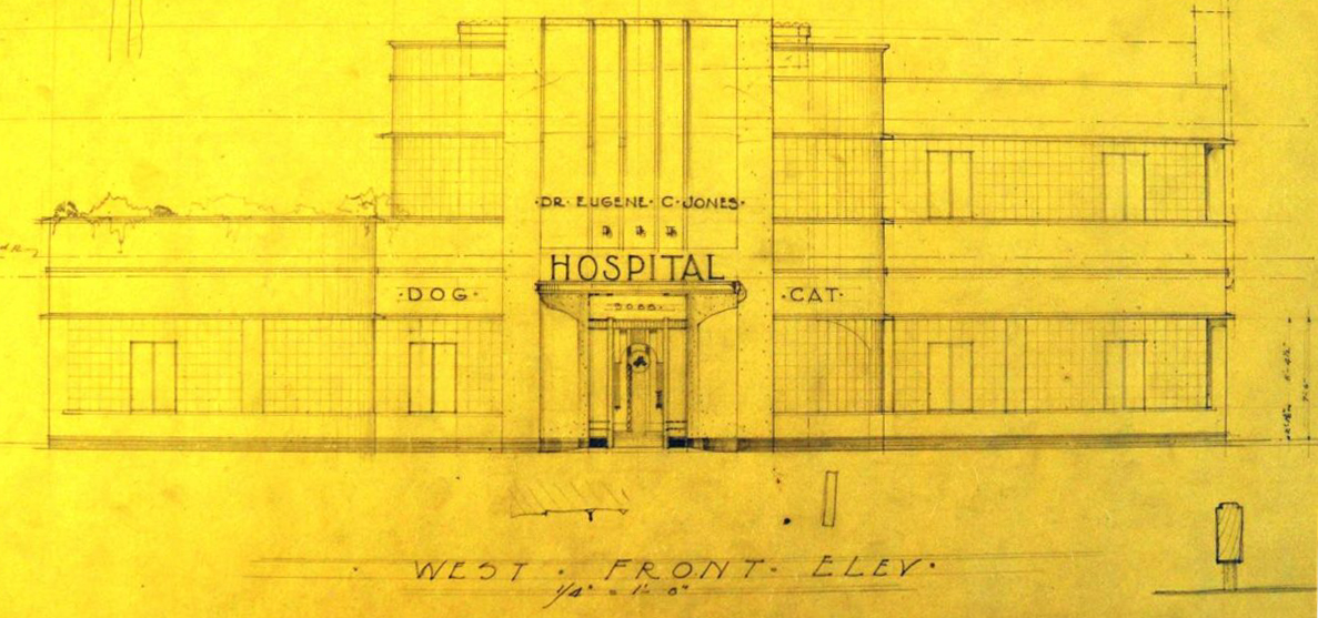 Site hosted by Neocities